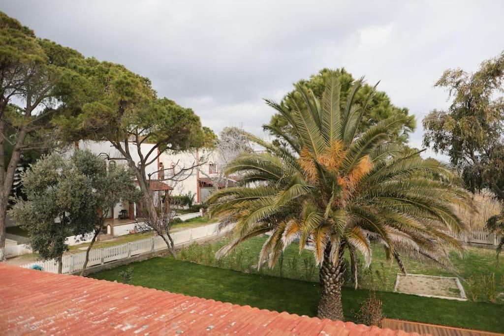 Willa Yfn Urla Seaside House Balikliova Zewnętrze zdjęcie