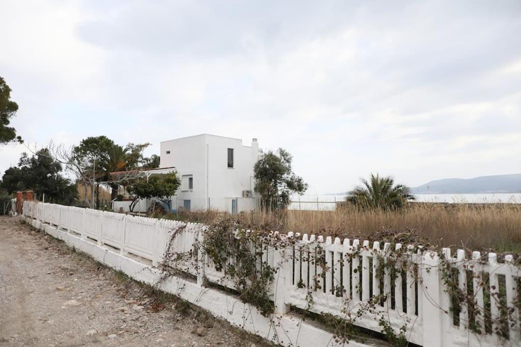 Willa Yfn Urla Seaside House Balikliova Zewnętrze zdjęcie