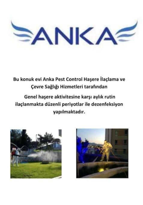 Willa Yfn Urla Seaside House Balikliova Zewnętrze zdjęcie